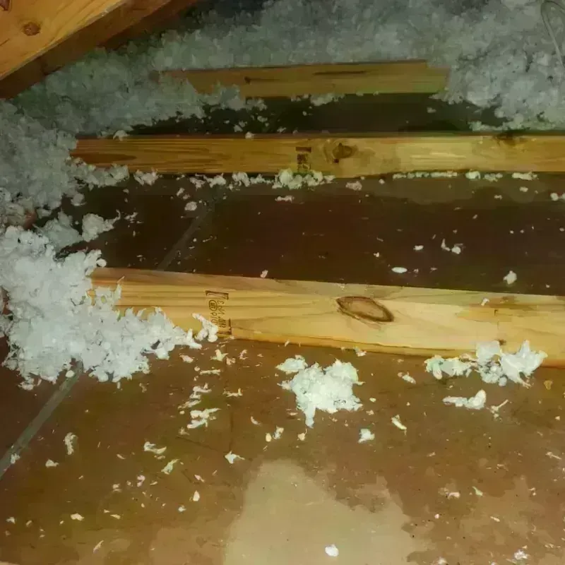 Attic Water Damage in Palacios, TX